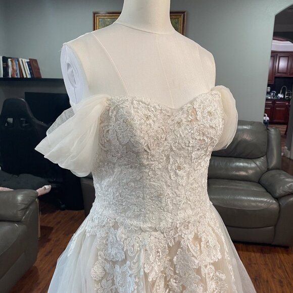 Ball Gown Wedding Dress - Picture 1 of 10